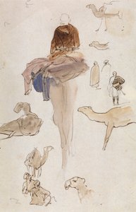 Études de chameaux - Edward Lear